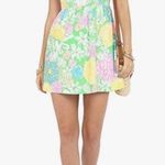 Lilly Pulitzer Lily Pulitzer raegan Dress - hibiscus stroll Photo 0