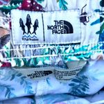 The North Face  Women's 3 Fish Studios Shorts in Green Leaf & Mushroom Photo 1