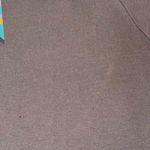 Patagonia Organic Cotton Brown T-Shirt size Small Photo 3