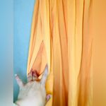 STITCHDROP women’s dress size Med 100% cotton
20” pit to pit free on waist Photo 3