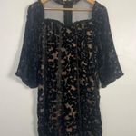 Foxiedox Anthropologie  Burnout Velvet 3/4 length sleeves mini dress black size S Photo 1
