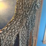 Venus Pant Suit Photo 4