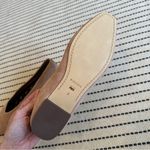 Birdies  Crane Suede Ballet Flats Fawn Suede NEW 9 Photo 4