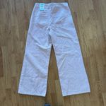 ZARA  Pink Wide Leg Crop Pants Photo 6