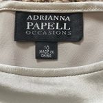 Adrianna Papell  Pewter Silk Maxi Skirt Photo 3