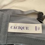 Cacique 42DD Gray Lace Full Coverage Underwire Bra Photo 2