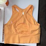 Free People Orange  Crop Top Photo 2