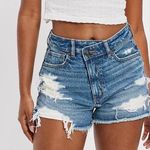 American Eagle AE Strigid Denim Mom Short 14 Photo 0