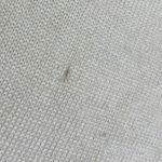 Versace Sweater Photo 2