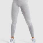 Gymshark β
Flex Leggings - Light Gray Earl/Indigo β
Photo 0