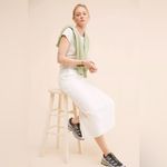 Madewell NWT  Carpenter Denim Skirt White size 30 Anthropologie Photo 1