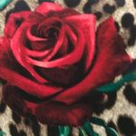 Dolce & Gabbana NWOT  rose leopard print dress Photo 9