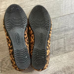 Baretraps  Norma Leopard Print Wedges Size 7M Photo 5