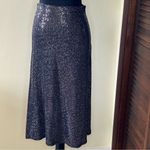Urban Outfitters  Regina Sparkly Metallic Midi Skirt Photo 2