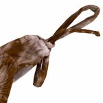 Lucky Brand Vintage 90’s:  ❤︎ Side Tie Floral Tie Dye Bikini Bottoms ❤︎ Pink Tan Photo 6