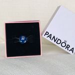 Pandora Disney 60th Anniversary Forever Blue Sterling Silver Bracelet Charm Photo 2
