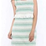 Cupcakes & Cashmere | Mint & Cream Martini Tassel Shift Dress Size Small S Green Photo 0