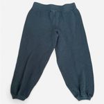 Free People  Beach Hailee Pants in Balsam Photo 5