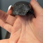 Enzo Angiolini  Leather Boots Photo 5