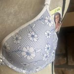 Ambrielle -BRA-36B Photo 2