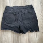NWOT Dip Womens Washed Black Distressed Frayed Hem Shorts Size 12 Photo 3