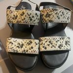 Wild Pair  printed platforms size 6.5 Photo 0