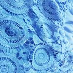 Southern Tide Blue Lace Off Shoulder Shift Dress Photo 8