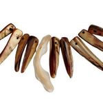 Head 9 Abalone Horn   + 1 MOP Mother of Pearl Drilled Loose Beads Jewelry Making Photo 0