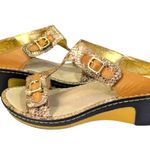 Alegria Lara Posh Gold Sandals EUC $110 Size 38 US 8/8.5 S3495 Photo 6