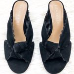 Jack Rogers Holly Black Suede Mule Sandals 6 Photo 1