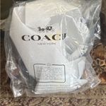 Coach Authentic COACHTOPIA Nickel /stars mushroom Colorful Keychain Photo 3