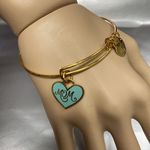 ALEX AND ANI  Mom Bangle Shiny Gold 2017 Adjustable Boho Photo 0