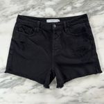Hidden Jeans Pixie High Rise Distressed Denim Shorts • Sz M Photo 5