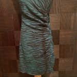 Capulet  Sierra Jade tiger print mini dress Photo 3