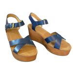 Tommy Hilfiger  Blue Wilo Wedge Platform Heels Size 9.5 Photo 1
