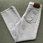 Bogner Light Purple Straight Leg Pants Size 8 Long Photo 1