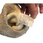 Icing  taupe knot beanie cap Photo 1