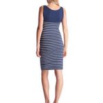 Seraphine Navy & White Striped MATERNITY Scoop neck bodycon Midi Dress Size 6 Blue Size L Photo 1