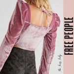 Free People  velvet top corset crop top Photo 8