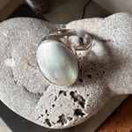 Natural Nautilus Sea Shell Sterling Silver Ring Size 10.5 Photo 3