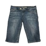 American Eagle AEO Outfitters Artist Denim Bermuda Shorts Medium Wash 10 Regular Photo 0