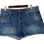 ZARA TRF Vintage Collection Button Fly Denim Shorts 8 Photo 0