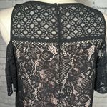 Loft  Boudoir Lace Cold Shoulder Black Nude Dress size 4 NEW NWT Photo 11