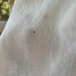 Bryn Walker Women's Yellow 100% Linen Oversized Top Size L Photo 2