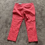 Mario Serrani  Italy Ankle Pants With Tummy Control SIZE 14 Photo 4