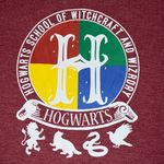 Harry Potter  Hogwarts sz 19 long sleeve vneck t-shirt round hem athletic stripes Photo 2