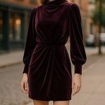 Karl Lagerfeld NWOT  PARIS Women's Velvet A –LINE Mock Neck Photo 0