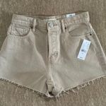 PacSun Shorts Photo 0