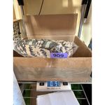 Dylan  True Grit Mini Shorts‎ Size 6 Small Multicolor Aztec Tribal Print Bohemian Photo 8