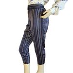 Ann Taylor PETITE NAVY BLUE W/SILVER & TAN STRIPES SATIN CROPPED PANTS (4P) Photo 2